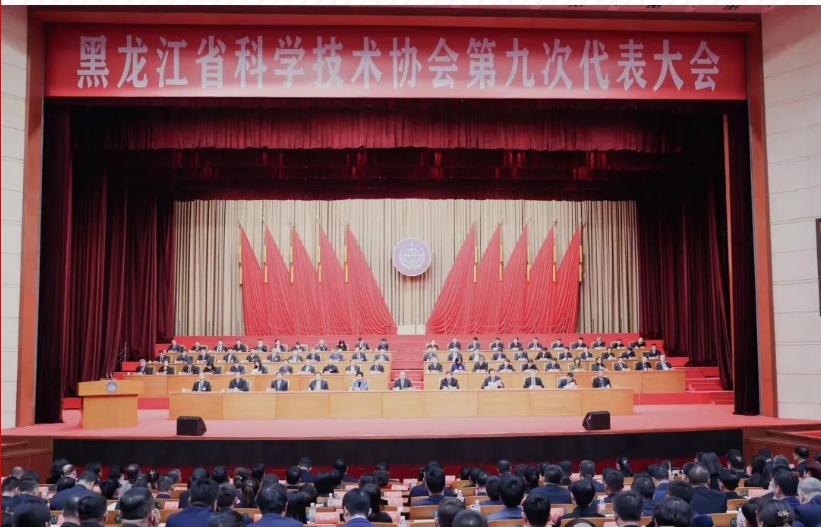 1712033501537219.png 13.png